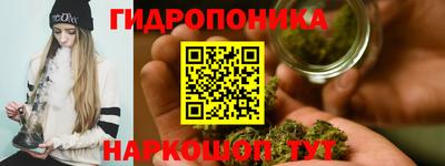 прущие грибы Ярцево