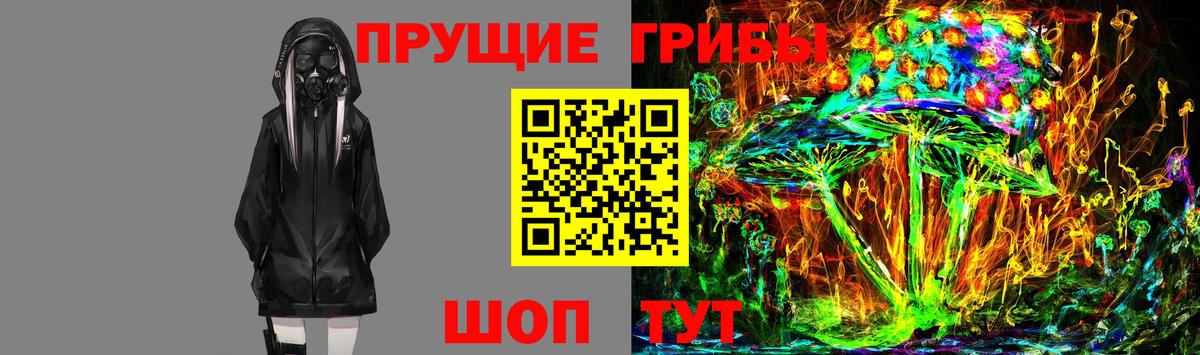 Псилоцибиновые грибы MAGIC MUSHROOMS  что такое наркотик  Братск  Вход с VPN 